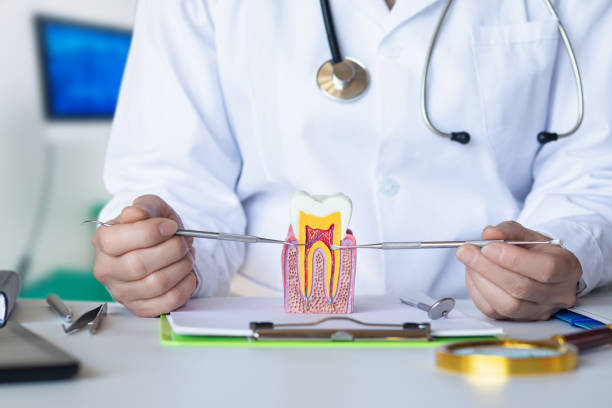 Best Emergency Dental Care for Broken or Chipped Teeth in Glenwood Landing, NY